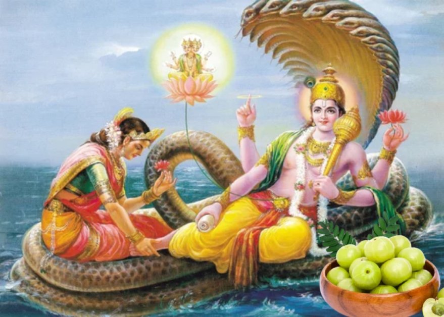 awala navami / amalaki navami / amalaki ekadashi / awala ekadashi / आवळा नवमी